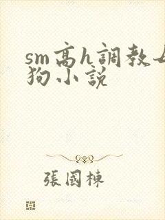sm高h调教母狗小说封面