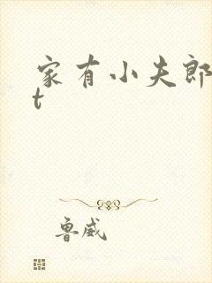 家有小夫郎txt