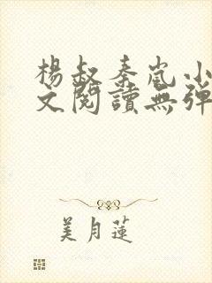 杨叔秦岚小说全文阅读无弹窗