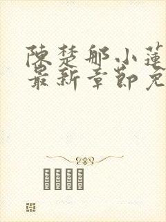 陈楚那小莲小说最新章节免费阅读