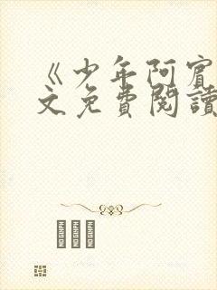 《少年阿宾》全文免费阅读