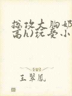 总攻大胸奶汁(高h)玩受小说