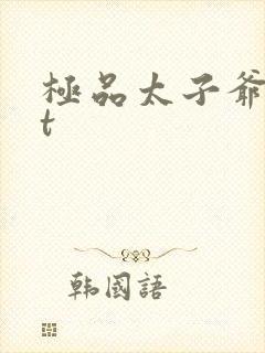 极品太子爷txt
