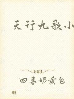 天行九歌小说