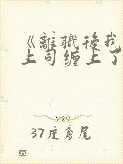 《离职后我被前上司缠上了封面