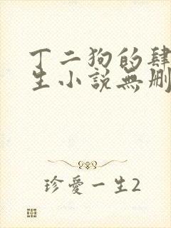 丁二狗的肆意人生小说无删减