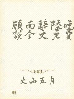 顾南辞陆晚宁小说全文免费阅读全文