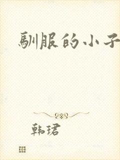 驯服的小子4