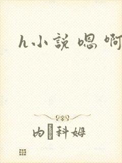 h小说 嗯 啊封面