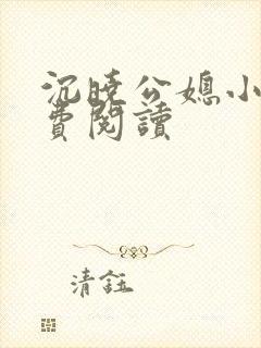 沉晓公媳小说免费阅读