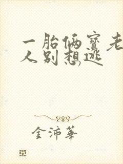 一胎俩宝老婆大人别想逃