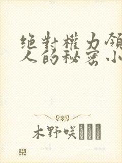 绝对权力领导夫人的秘密小说在线阅读