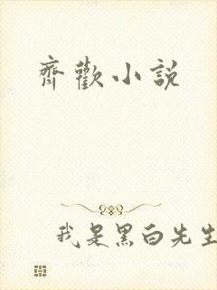 齐欢小说封面