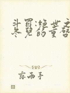 斗罗:绝世之王冬儿的重启人生封面