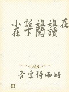 小说姐姐在上我在下阅读