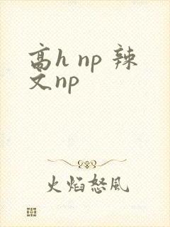 高h np 辣文np