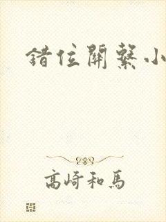 错位关系小说