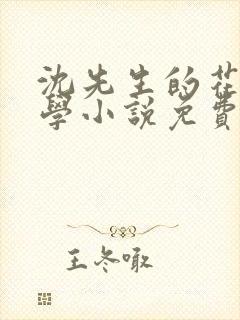 沈先生的花式教学小说免费