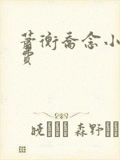 萧衡乔念小说免费