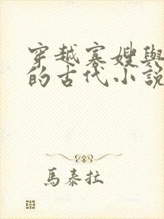 穿越寡嫂与小叔的古代小说