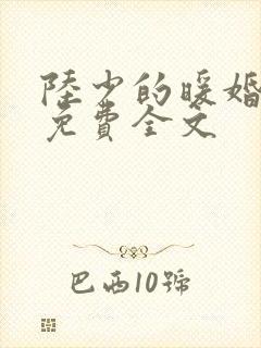陆少的暖婚新妻免费全文