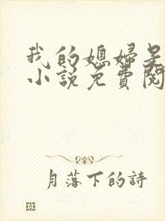 我的媳妇是苏玥小说免费阅读
