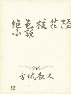 绝色校花陆冰嫣小说