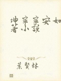 坤宁宁安如梦原著小说
