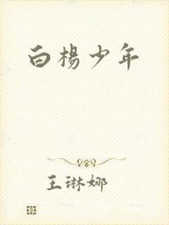 白杨少年封面