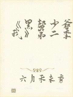 《黑帮少爷爱上我》第二季