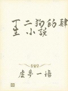 丁二狗的肆意人生 小说封面