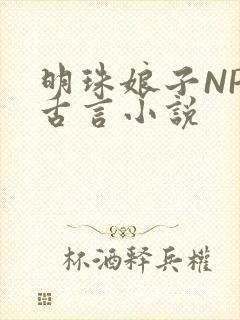 明珠娘子NPC古言小说