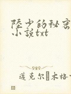 陆少的秘密恋人小说txt