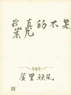 我真的不是傻子叶凡