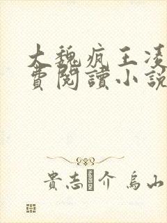 大魏疯王凌宁免费阅读小说