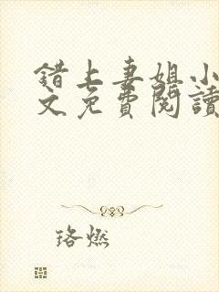 错上妻姐小说全文免费阅读