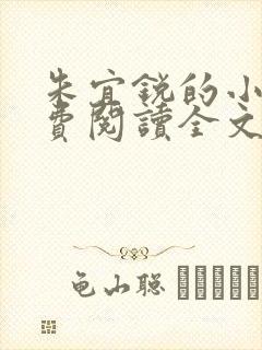 朱宜锐的小说免费阅读全文