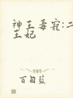 神王毒宠:二嫁王妃封面