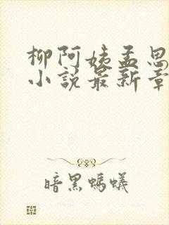 柳阿姨孟思雨晴小说最新章节列表