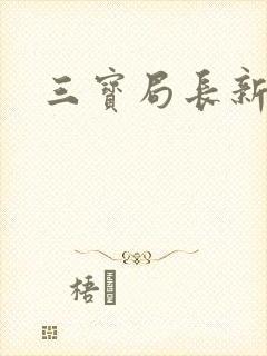 三宝局长新编封面