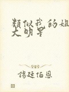 类似我的姐姐是大明星封面