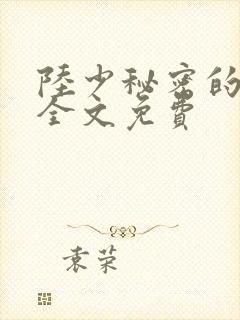 陆少秘密的恋人全文免费
