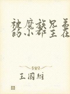 被魔族兄弟囚禁的小郡主在线阅读全文封面