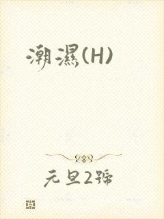 潮湿(H)