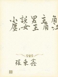 小说男主角沈卿尘,女主角江稚免费阅读