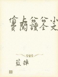 偷上公公小说免费阅读全文封面