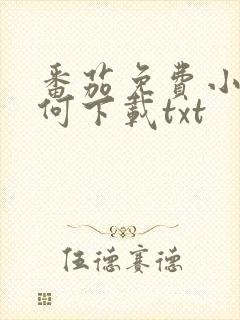 番茄免费小说如何下载txt封面
