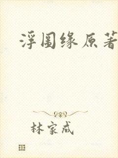 浮图缘原著小说封面
