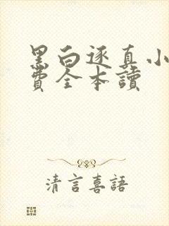 黑白逐真小说免费全本读