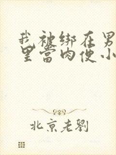 我被绑在男公厕里当肉便小说